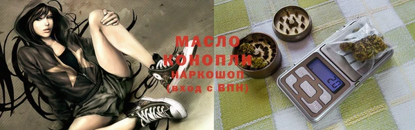 ECSTASY Вяземский