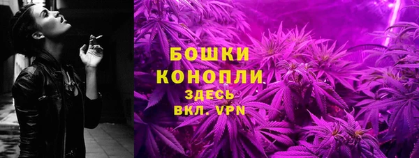 ECSTASY Вяземский